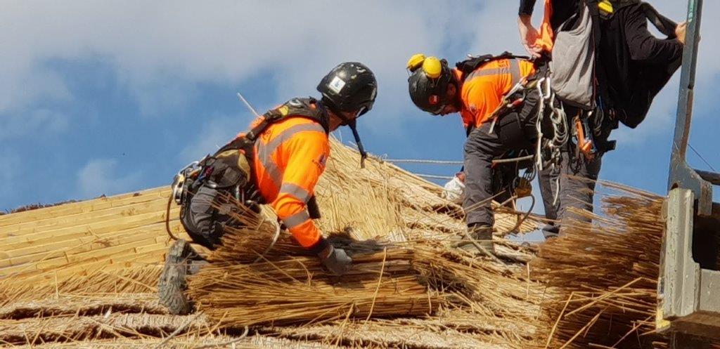 Dépose de toiture en roseaux