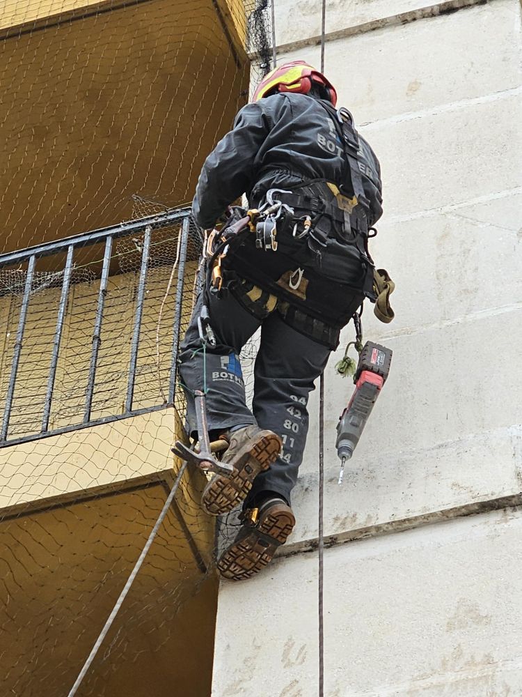 Pose de filets antivolatiles en milieu urbain à Arles